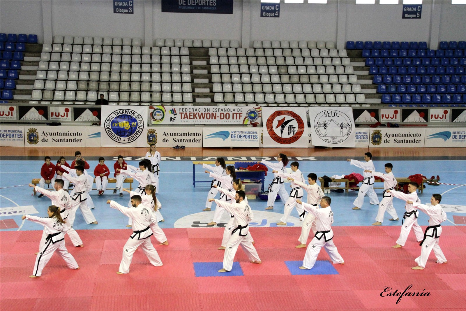 Taekwondo (204).jpg